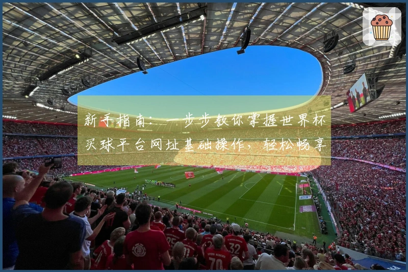 新手指南：一步步教你掌握世界杯买球平台网址基础操作，轻松畅享精彩赛事