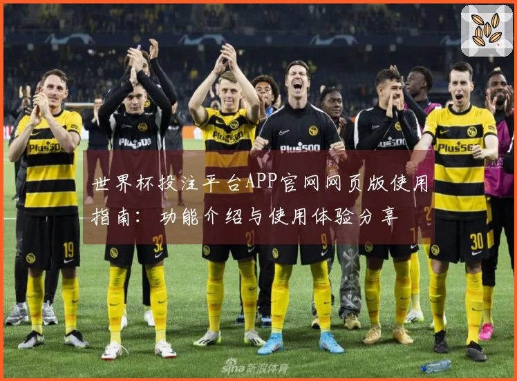 世界杯投注平台APP官网网页版使用指南：功能介绍与使用体验分享