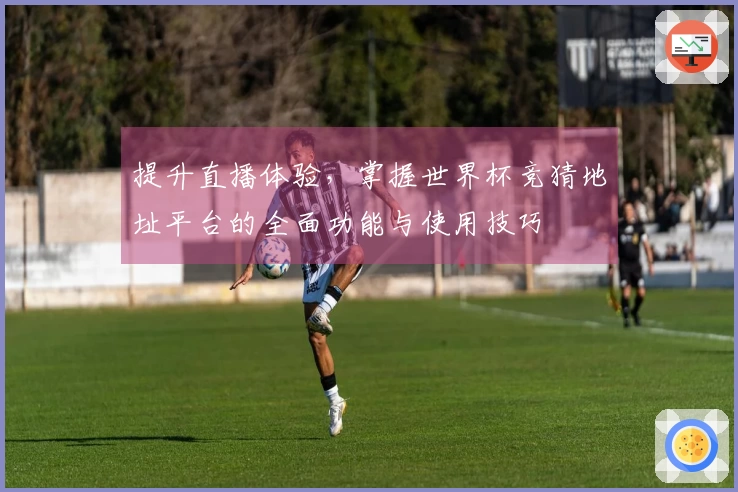 提升直播体验,掌握世界杯竞猜地址平台的全面功能与使用技巧