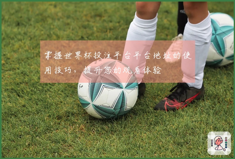 掌握世界杯投注平台平台地址的使用技巧，提升您的观看体验