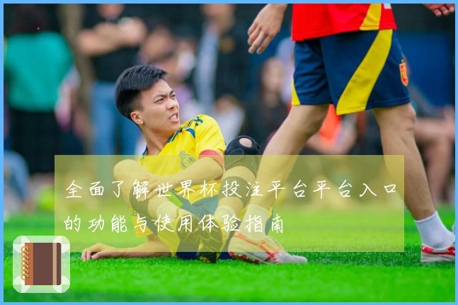 全面了解世界杯投注平台平台入口的功能与使用体验指南