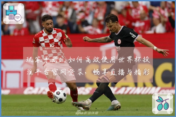 玩家手册：如何高效使用世界杯投注平台官网登录，畅享直播与精彩功能