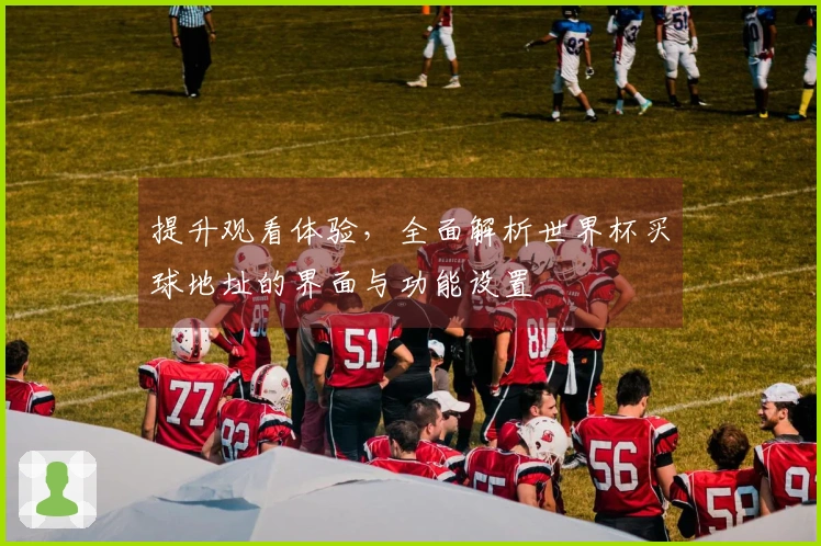 提升观看体验，全面解析世界杯买球地址的界面与功能设置