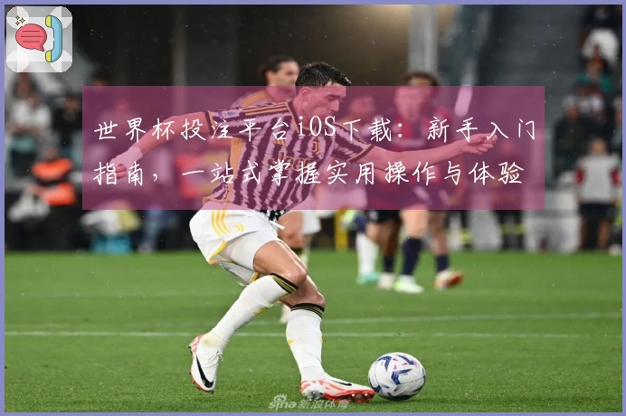 世界杯投注平台iOS下载：新手入门指南，一站式掌握实用操作与体验