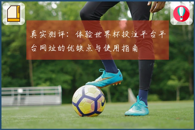 真实测评：体验世界杯投注平台平台网址的优缺点与使用指南
