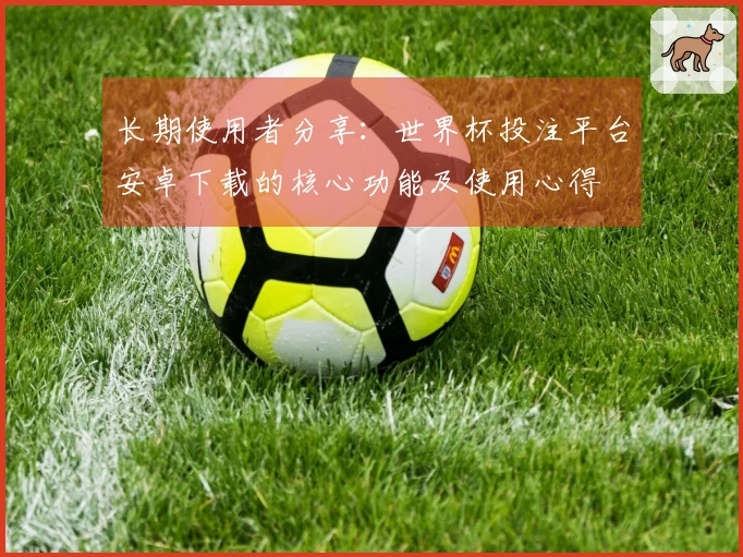 长期使用者分享：世界杯投注平台安卓下载的核心功能及使用心得