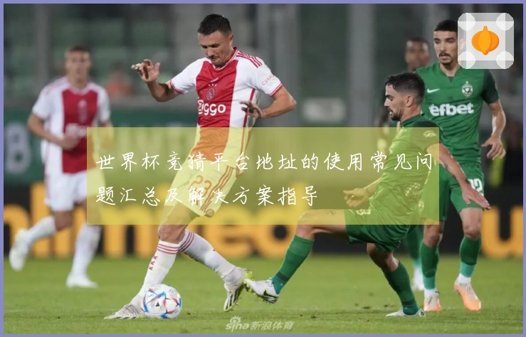 世界杯竞猜平台地址的使用常见问题汇总及解决方案指导
