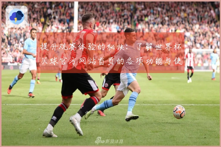 提升观赛体验的秘诀：了解世界杯买球官方网站首页的各项功能与使用技巧